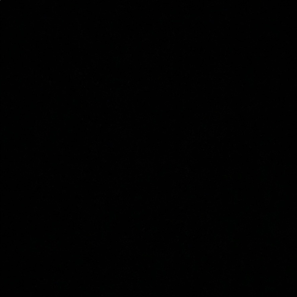 Meet your Posher, Lilli